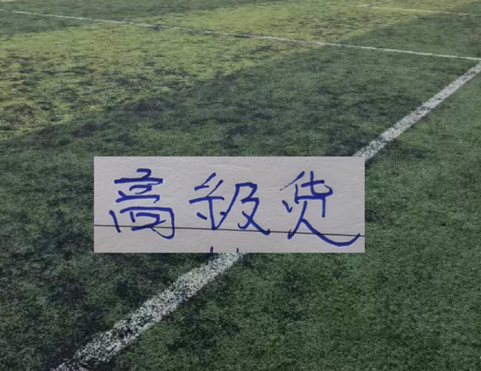开云体育官网-中超前15轮 各队代表球星！|阿马杜|上海海港|成都蓉城足球俱乐部|上海申花足球俱乐部|大连英博_新浪体育_新浪新闻